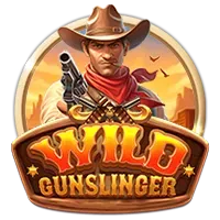 Wild Gunslinger